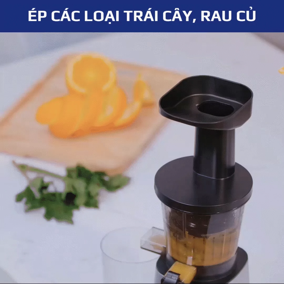 Alternative view of Máy Ép Chậm OLIVO SJ210- Ép Kiệt Bã 97%
